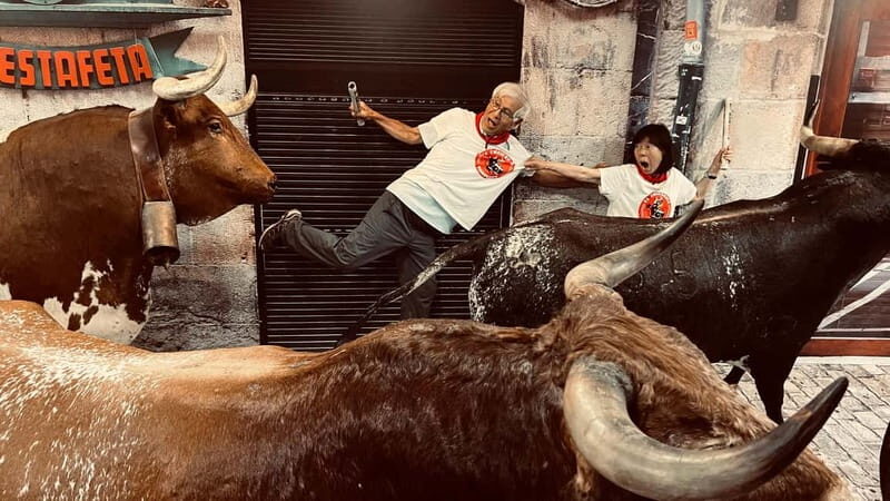 Pamplona: Walking Tour and Photo Session with Bulls - Who Will Love This Tour?