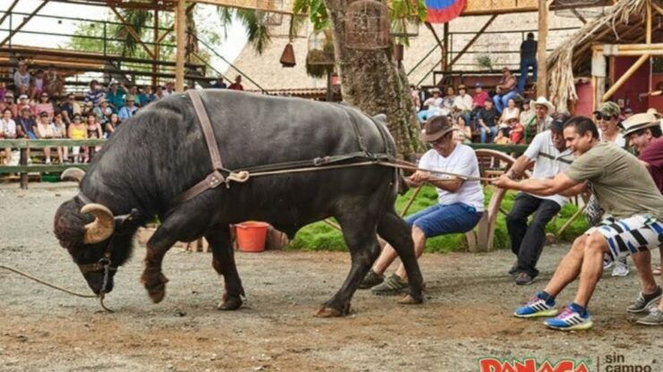 Panaca Park Tour From Pereira or Armenia - Activity Details and Duration