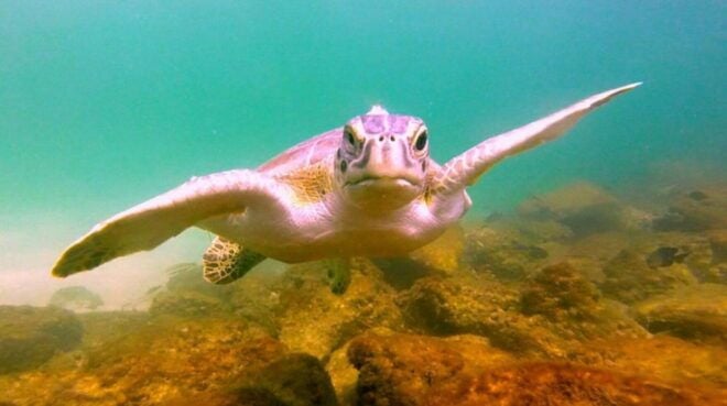 Panama City Beach: Beginner Scuba Diving Experience - Directions