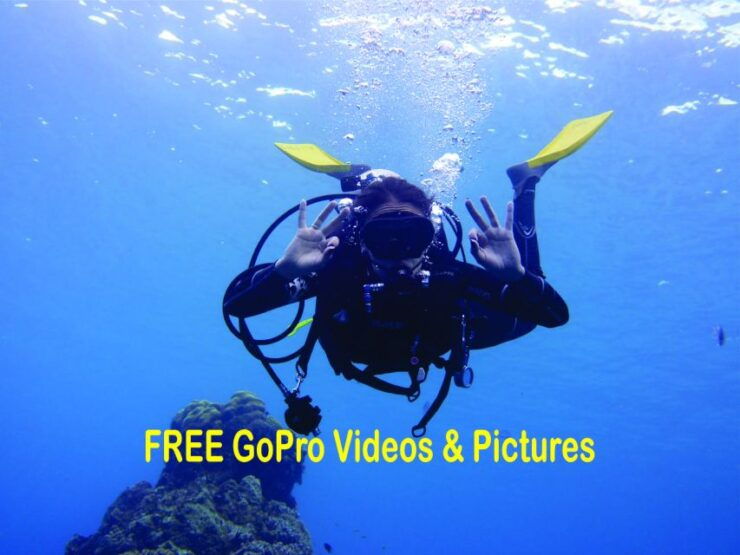 Panama City Beach: Beginners Scuba Diving Tour - Booking Details