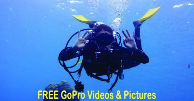 Panama City Beach: Beginners Scuba Diving Tour - Experience Highlights