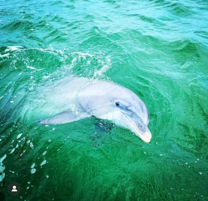 Panama City Beach: Deluxe Pontoon Rental with Shade - Experience Overview: What to Expect