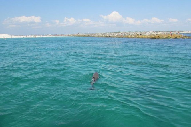 Panama City Beach Dolphin Sightseeing Sail - Cancellation Policy