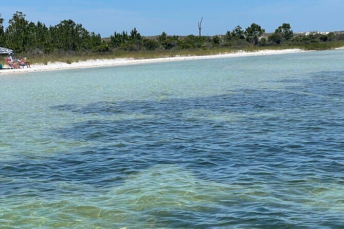 Panama City Beach Florida, Dolphin, Shell Island and Eco Tours - Who Is This Tour For?