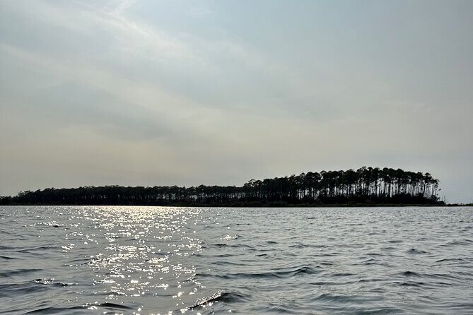 Panama City Beach Florida, Dolphin, Shell Island and Eco Tours - FAQ