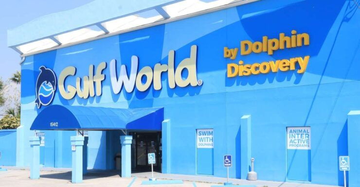 Panama City Beach: Gulf World Marine Park Entry Ticket - Good To Know