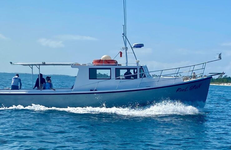 Panama City Beach: Private 4-Hour Trolling Tour - Booking and Cancellation