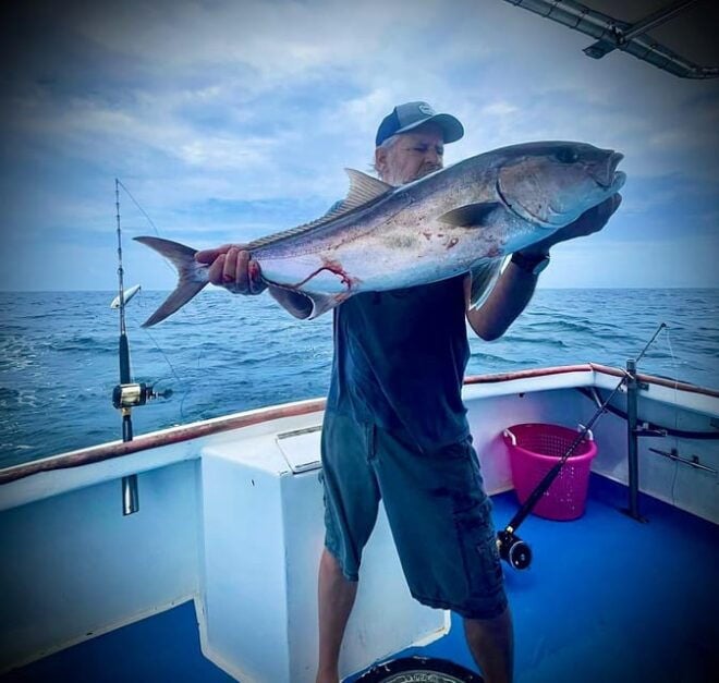 Panama City Beach: Private 4-Hour Trolling Tour - Fish Species Targeted