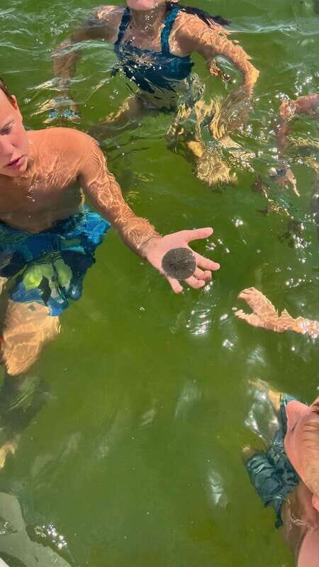 Panama City Beach: Private Sailboat Charter with Snorkeling - What to Bring and What to Know