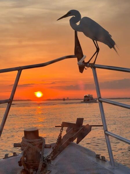 Panama City Beach: Private Sunset Cruise - Safety Considerations