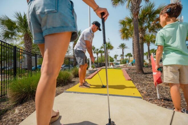 Panama City Beach: SkyWheel Miniature Golf Pass - Accessibility Details
