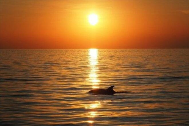 Panama City Beach: Sunset Catamaran Cruise - Duration and Rating