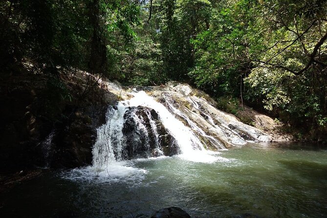 Panama City Horseback Tour: Customize Your Adventure - Tour Overview