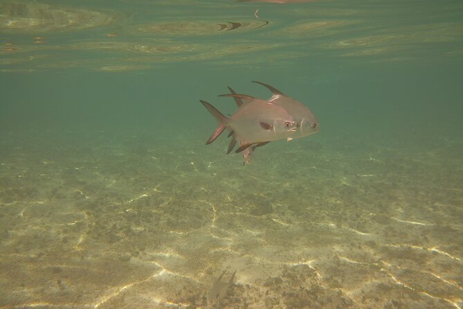 Panama City Scuba Diving Activity for Beginners - Directions