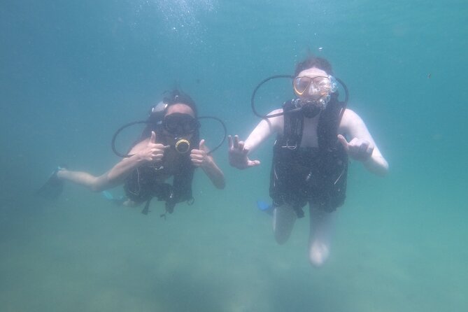 Panama City Scuba Diving Activity for Beginners - Common Questions