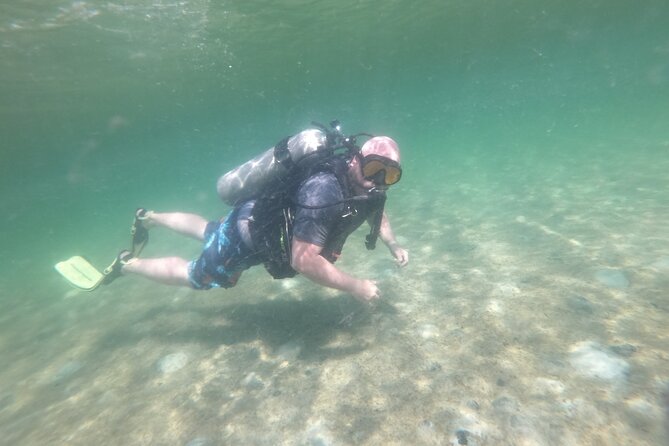 Panama City Scuba Diving Activity for Beginners - The Sum Up