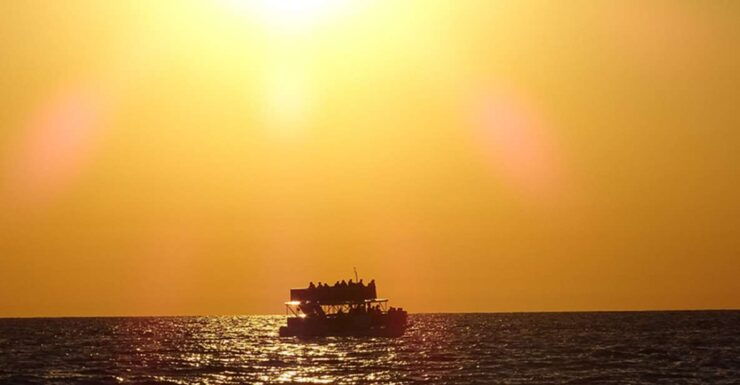 Panama City: Sunset Dolphin Cruise in St. Andrews Bay - Good To Know