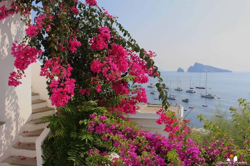 Panarea+Stromboli: boat excursion and snorkeling,departure from Lipari - Good To Know