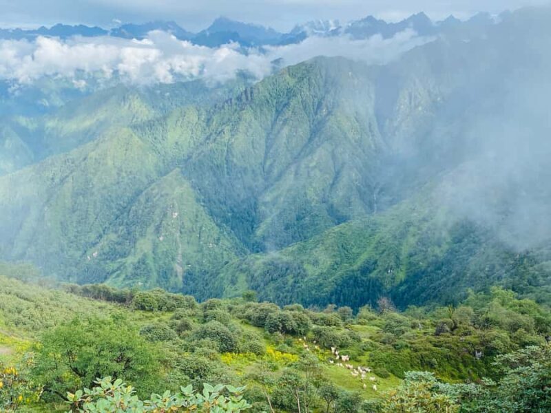 Panch Pokhari Trek in Nepal - Good To Know