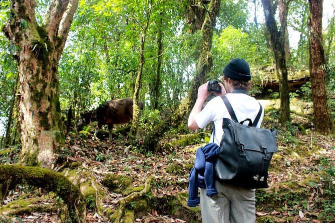 Panchase Trek - 3 Days Trekking From Pokhara Nepal - Trekking Itinerary and Duration