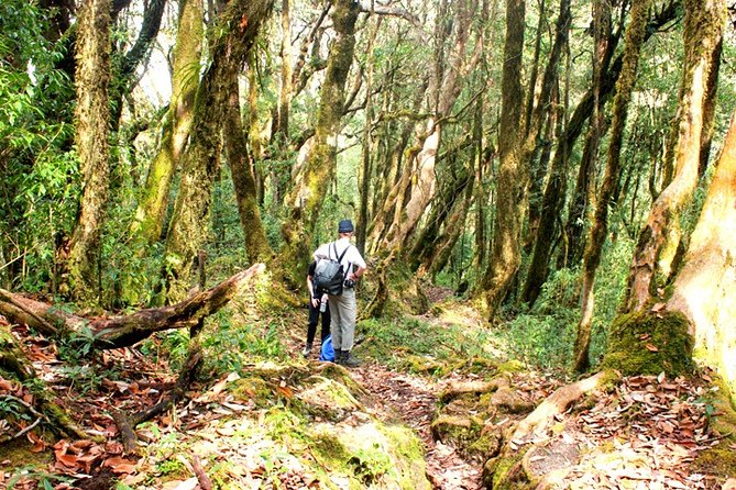 Panchase Trek - 3 Days Trekking From Pokhara Nepal - Common Questions