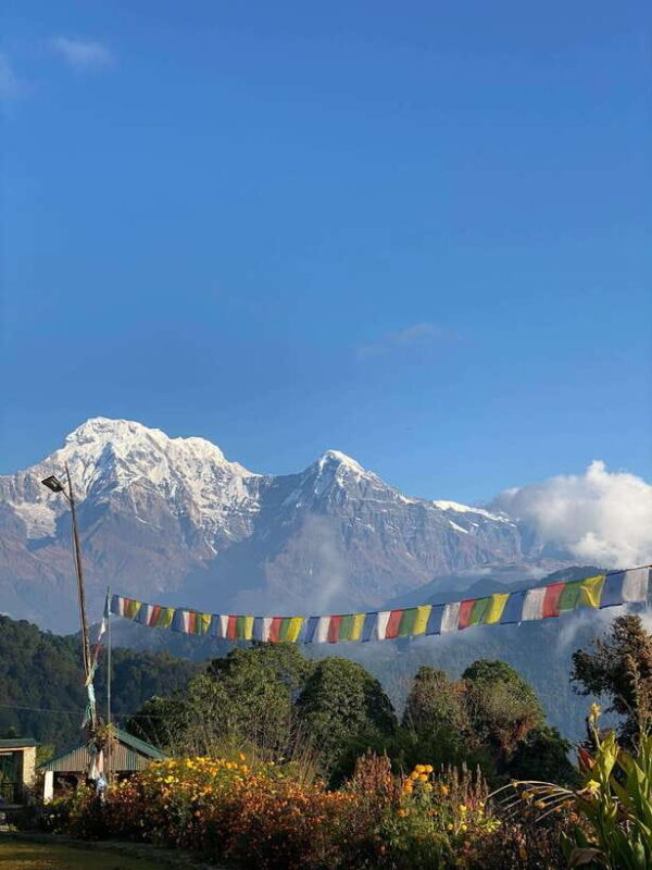 Panchase: Yoga Excursion - A Deep Dive into the Panchase Yoga Excursion