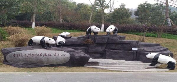 Panda and Green Tea Making Tour - Contact Information