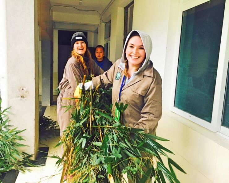 Panda Volunteer Project Day Trip(Wolong/Du Jiang Yan) - Activity Details