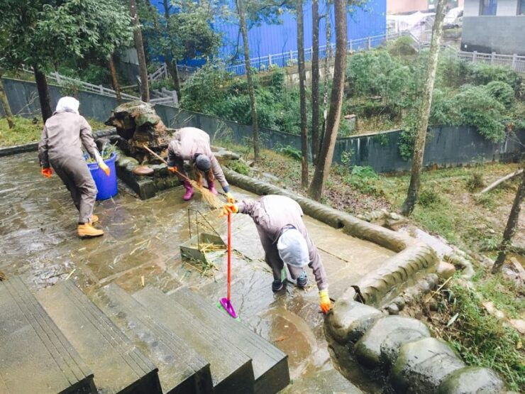 Panda Volunteer Project Day Trip(Wolong/Du Jiang Yan) - Itinerary