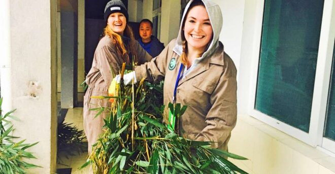 Panda Volunteer Project Day Trip(Wolong/Du Jiang Yan) - Preparation