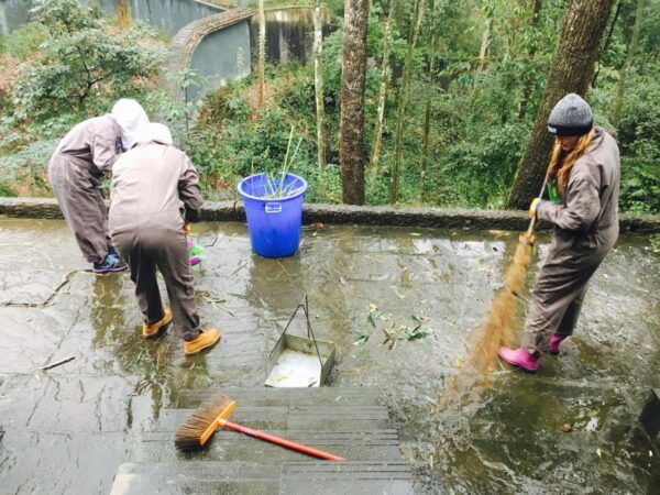Panda Volunteer Project Day Trip(Wolong/Du Jiang Yan) - Booking Information
