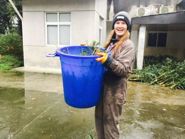 Panda Volunteer Project Day Trip(Wolong/Du Jiang Yan) - Frequently Asked Questions