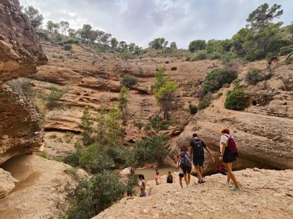 Pandar Routes: Diverse Adventure Excursions for All Ages - Adventure Themes and Activities