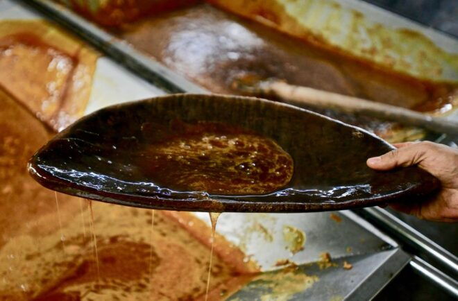 Panela Tour in Medellín - Visitor Feedback and Reviews