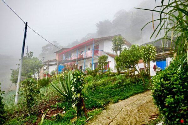 Panela Tour in Medellín - Directions for Joining the Tour