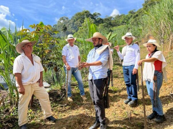 Panela Tour in Medellín - The Sum Up