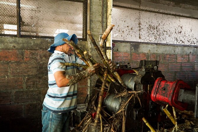 Panelero Tour a Sweet Experience Through Antioquia Culture - Cultural Immersion