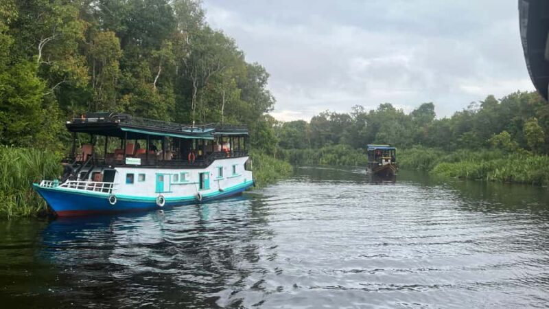 Pangkalan Bun Tanjung Puting Orangutan Day Tour by Speedboat - Practical Details and Tips