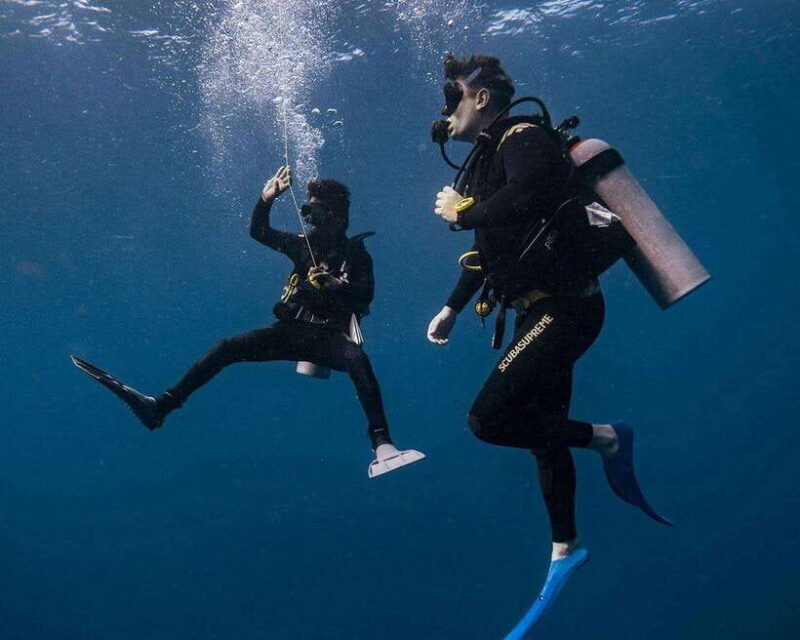 Panglao Bohol: Try Scuba Diving at Napaling and Sardines - Good To Know