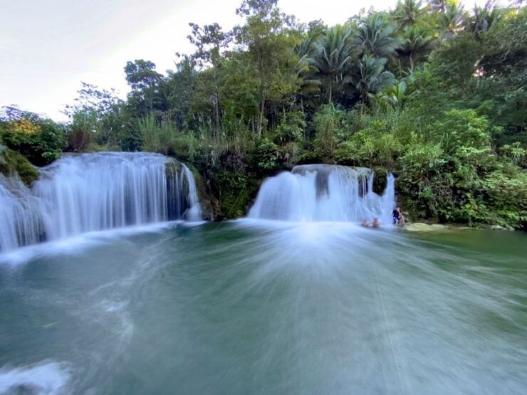 Panglao: Dao, Forests, and Tarsier Sanctuary Tour With Lunch - General Information
