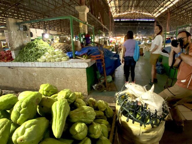 Panglao: Dao, Forests, and Tarsier Sanctuary Tour With Lunch - Itinerary