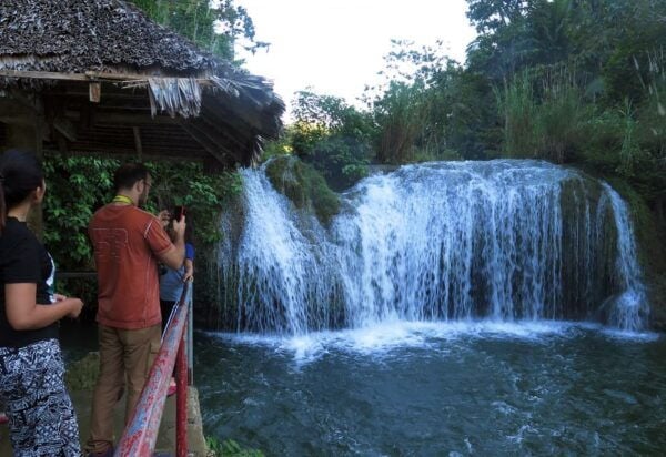 Panglao: Dao, Forests, and Tarsier Sanctuary Tour With Lunch - Booking and Contact Information