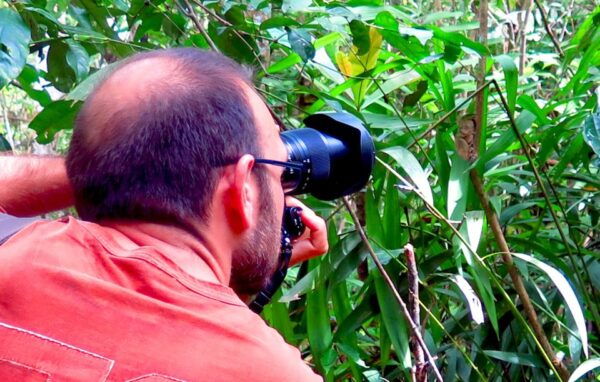 Panglao: Dao, Forests, and Tarsier Sanctuary Tour With Lunch - The Sum Up