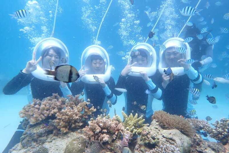 Panglao: Helmet Diving Experience with Photos and Videos - Good To Know