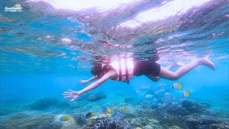 Panglao Island Hopping by Southwest Tours - An early start for dolphins and Balicasag