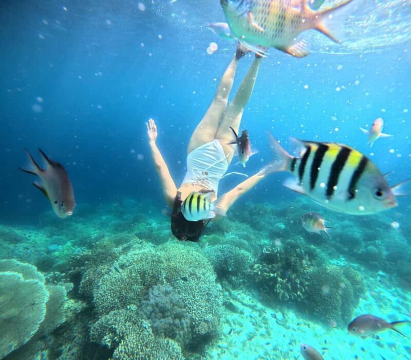 Panglao: Island Hopping w/Balicasag (Shared) - An In-Depth Look at the Panglao Island Hopping Experience