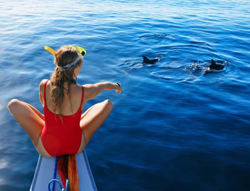 Panglao: Island Hopping w/Balicasag (Shared) - The Return to Alona Beach