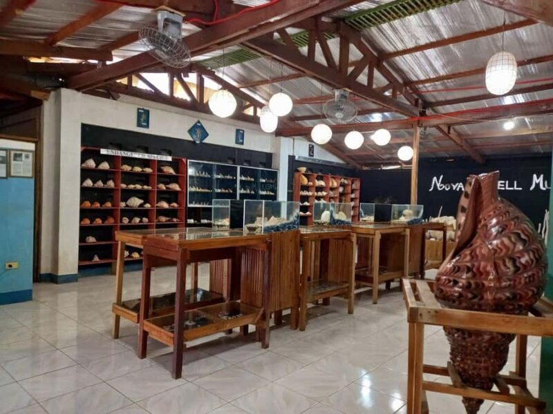 Panglao Land Tour: Private Half-Day Tour with Hotel Pickup - Good To Know