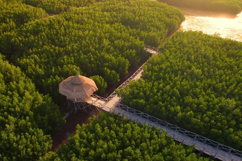 Panglao Mangrove and Sunset Half-Day Private Tour - A sunset walk, not a packed sightseeing circuit