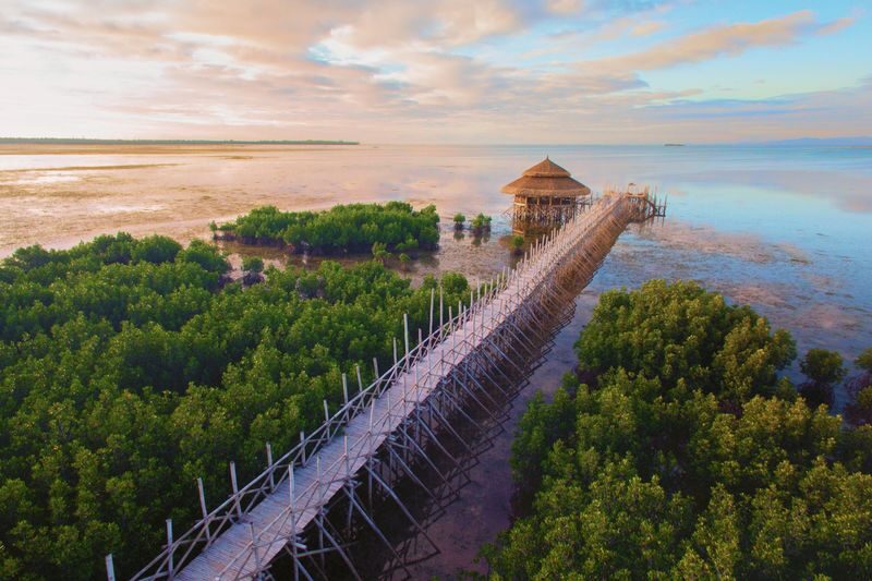 Panglao Mangrove and Sunset Half-Day Private Tour - The 16:30 pickup and the ride to North Zen Villas